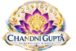 chandni logo