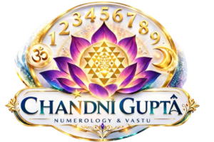 chandni logo